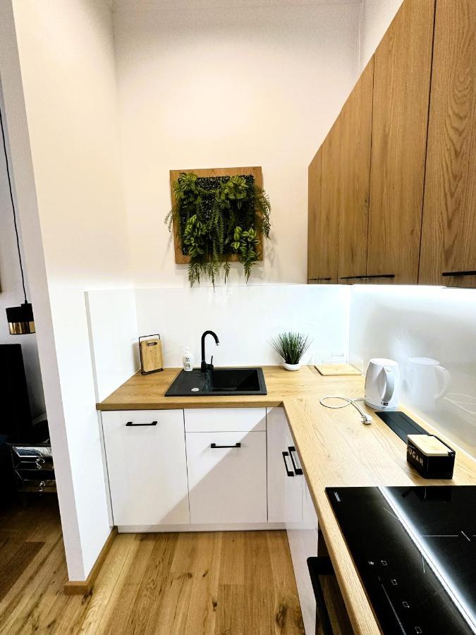 Apartamenty Dream Place Z Klimatyzacja Torun Ngoại thất bức ảnh